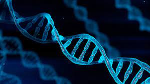 dna sequencing stock image